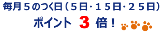 毎月５のつく日はポイント３倍
